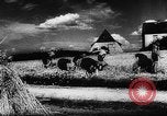 Image of Hitler youth Germany, 1944, second 45 stock footage video 65675047121