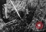 Image of Hitler youth Germany, 1944, second 47 stock footage video 65675047121