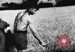 Image of Hitler youth Germany, 1944, second 48 stock footage video 65675047121