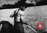 Image of Hitler youth Germany, 1944, second 49 stock footage video 65675047121