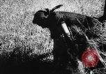 Image of Hitler youth Germany, 1944, second 51 stock footage video 65675047121