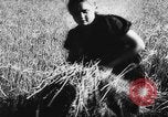 Image of Hitler youth Germany, 1944, second 52 stock footage video 65675047121
