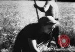 Image of Hitler youth Germany, 1944, second 53 stock footage video 65675047121