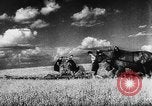 Image of Hitler youth Germany, 1944, second 54 stock footage video 65675047121