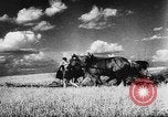 Image of Hitler youth Germany, 1944, second 55 stock footage video 65675047121