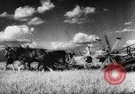 Image of Hitler youth Germany, 1944, second 57 stock footage video 65675047121