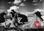 Image of Hitler youth Germany, 1944, second 61 stock footage video 65675047121