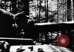 Standbild deutsche Truppen Lettland, 1944, aus Sekunde 35 historischem Filmmaterial Videoclip 65675047123
