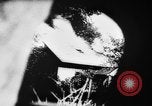 Standbild deutsche Truppen Lettland, 1944, aus Sekunde 52 historischem Filmmaterial Videoclip 65675047123