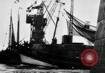 Standbild Deutsche Torpedoboot/Zerstörer Atlantik, 1944, aus Sekunde 1 historischem Filmmaterial Videoclip 65675047127