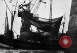 Standbild Deutsche Torpedoboot/Zerstörer Atlantik, 1944, aus Sekunde 3 historischem Filmmaterial Videoclip 65675047127