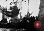 Standbild Deutsche Torpedoboot/Zerstörer Atlantik, 1944, aus Sekunde 5 historischem Filmmaterial Videoclip 65675047127
