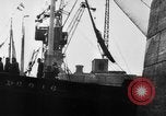 Standbild Deutsche Torpedoboot/Zerstörer Atlantik, 1944, aus Sekunde 9 historischem Filmmaterial Videoclip 65675047127