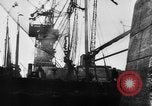 Standbild Deutsche Torpedoboot/Zerstörer Atlantik, 1944, aus Sekunde 13 historischem Filmmaterial Videoclip 65675047127