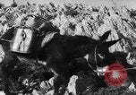 Standbild deutsche Truppen Italien, 1944, aus Sekunde 25 historischem Filmmaterial Videoclip 65675047129