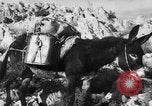 Standbild deutsche Truppen Italien, 1944, aus Sekunde 26 historischem Filmmaterial Videoclip 65675047129