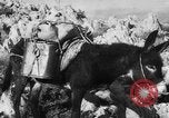 Standbild deutsche Truppen Italien, 1944, aus Sekunde 27 historischem Filmmaterial Videoclip 65675047129