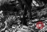 Standbild deutsche Truppen Italien, 1944, aus Sekunde 29 historischem Filmmaterial Videoclip 65675047129