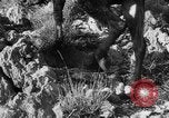Standbild deutsche Truppen Italien, 1944, aus Sekunde 32 historischem Filmmaterial Videoclip 65675047129