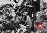 Standbild deutsche Truppen Italien, 1944, aus Sekunde 35 historischem Filmmaterial Videoclip 65675047129