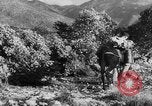 Standbild deutsche Truppen Italien, 1944, aus Sekunde 36 historischem Filmmaterial Videoclip 65675047129