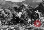 Standbild deutsche Truppen Italien, 1944, aus Sekunde 38 historischem Filmmaterial Videoclip 65675047129