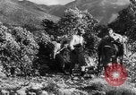 Standbild deutsche Truppen Italien, 1944, aus Sekunde 39 historischem Filmmaterial Videoclip 65675047129