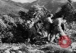Standbild deutsche Truppen Italien, 1944, aus Sekunde 42 historischem Filmmaterial Videoclip 65675047129