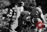 Standbild deutsche Truppen Italien, 1944, aus Sekunde 49 historischem Filmmaterial Videoclip 65675047129