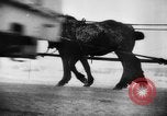 Image of German troops Soviet Union, 1944, second 18 stock footage video 65675047130