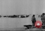 Immagine di Truppe tedesche Unione Sovietica, 1944, secondo 21 filmato di repertorio 65675047131