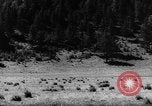 Standbild Altai Gebirge Zentralasien, 1944, aus Sekunde 6 historischem Filmmaterial Videoclip 65675047133