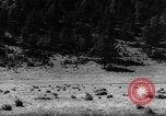 Standbild Altai Gebirge Zentralasien, 1944, aus Sekunde 7 historischem Filmmaterial Videoclip 65675047133
