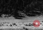 Standbild Altai Gebirge Zentralasien, 1944, aus Sekunde 8 historischem Filmmaterial Videoclip 65675047133