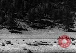 Standbild Altai Gebirge Zentralasien, 1944, aus Sekunde 9 historischem Filmmaterial Videoclip 65675047133