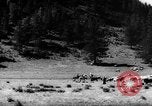 Standbild Altai Gebirge Zentralasien, 1944, aus Sekunde 10 historischem Filmmaterial Videoclip 65675047133