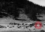 Standbild Altai Gebirge Zentralasien, 1944, aus Sekunde 11 historischem Filmmaterial Videoclip 65675047133