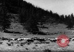 Standbild Altai Gebirge Zentralasien, 1944, aus Sekunde 12 historischem Filmmaterial Videoclip 65675047133