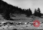 Standbild Altai Gebirge Zentralasien, 1944, aus Sekunde 13 historischem Filmmaterial Videoclip 65675047133