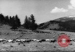 Standbild Altai Gebirge Zentralasien, 1944, aus Sekunde 15 historischem Filmmaterial Videoclip 65675047133