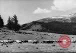 Standbild Altai Gebirge Zentralasien, 1944, aus Sekunde 16 historischem Filmmaterial Videoclip 65675047133