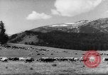 Standbild Altai Gebirge Zentralasien, 1944, aus Sekunde 17 historischem Filmmaterial Videoclip 65675047133