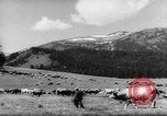 Standbild Altai Gebirge Zentralasien, 1944, aus Sekunde 23 historischem Filmmaterial Videoclip 65675047133