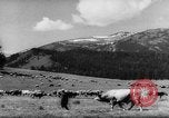 Standbild Altai Gebirge Zentralasien, 1944, aus Sekunde 24 historischem Filmmaterial Videoclip 65675047133