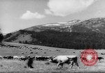 Standbild Altai Gebirge Zentralasien, 1944, aus Sekunde 25 historischem Filmmaterial Videoclip 65675047133