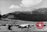 Standbild Altai Gebirge Zentralasien, 1944, aus Sekunde 26 historischem Filmmaterial Videoclip 65675047133
