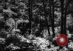 Standbild Altai Gebirge Zentralasien, 1944, aus Sekunde 33 historischem Filmmaterial Videoclip 65675047133