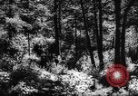 Standbild Altai Gebirge Zentralasien, 1944, aus Sekunde 35 historischem Filmmaterial Videoclip 65675047133