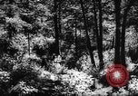 Standbild Altai Gebirge Zentralasien, 1944, aus Sekunde 37 historischem Filmmaterial Videoclip 65675047133