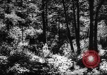 Standbild Altai Gebirge Zentralasien, 1944, aus Sekunde 38 historischem Filmmaterial Videoclip 65675047133